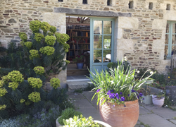 from garden looking into studio